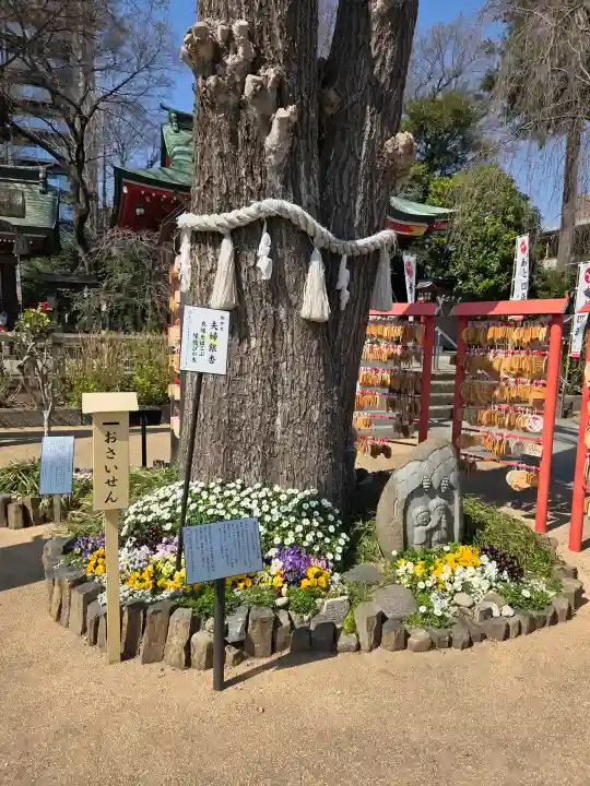 川越八幡宮の{uncategorized: "未分類", other: "その他", undefined: "問題あり", building: "その他建物", grave: "お墓", sacred_gate: "鳥居", guardian: "狛犬", statue: "像", buddha: "仏像", history: "歴史", nature: "自然", garden: "庭園", animal: "動物", pagoda: "塔", temizu: "手水舎", mountain_gate: "山門・神門", sanctuary: "本殿・本堂", subordinate: "末社・摂社", art: "芸術", scenery: "景色", jizo: "地蔵", ema: "絵馬", goshuin: "御朱印", omikuji: "おみくじ", items: "授与品その他", amulet: "お守り", goshuincho: "御朱印帳", eats: "食事", festival: "お祭り", votive_dance: "神楽", shichigosan: "七五三参", wedding: "結婚式", experience: "体験その他", initially: "初詣", around: "周辺", anti_infection: "感染症対策"}
