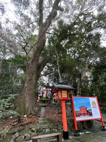 宇佐神宮の{uncategorized: "未分類", other: "その他", undefined: "問題あり", building: "その他建物", grave: "お墓", sacred_gate: "鳥居", guardian: "狛犬", statue: "像", buddha: "仏像", history: "歴史", nature: "自然", garden: "庭園", animal: "動物", pagoda: "塔", temizu: "手水舎", mountain_gate: "山門・神門", sanctuary: "本殿・本堂", subordinate: "末社・摂社", art: "芸術", scenery: "景色", jizo: "地蔵", ema: "絵馬", goshuin: "御朱印", omikuji: "おみくじ", items: "授与品その他", amulet: "お守り", goshuincho: "御朱印帳", eats: "食事", festival: "お祭り", votive_dance: "神楽", shichigosan: "七五三参", wedding: "結婚式", experience: "体験その他", initially: "初詣", around: "周辺", anti_infection: "感染症対策"}
