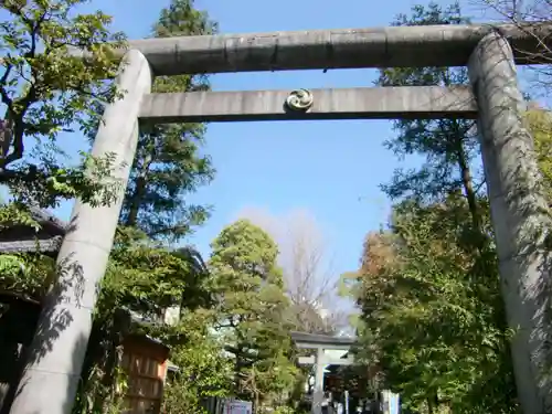 江東天祖神社の鳥居
