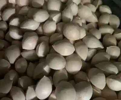 子安神社(茨城県)