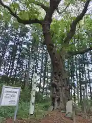 舘神社(宮城県)