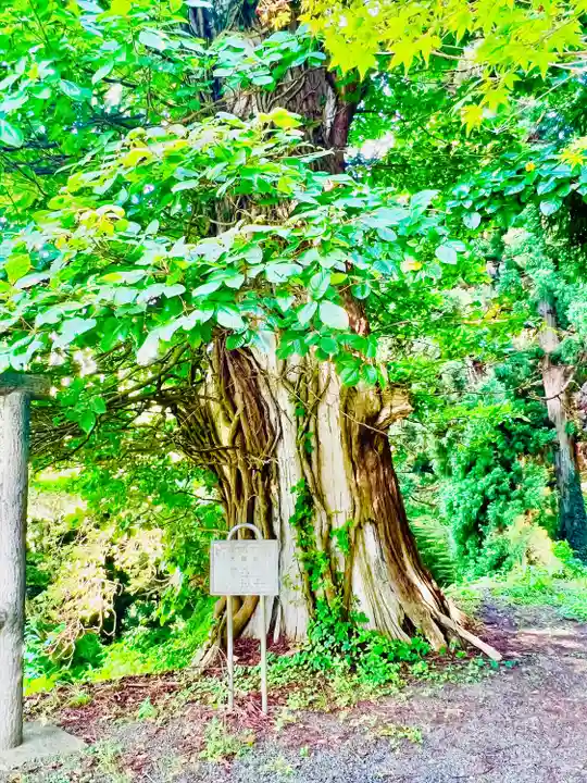 箟峯寺(宮城県)