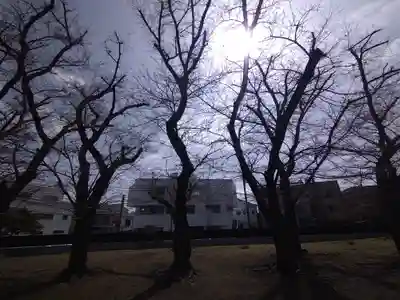 南蔵院(東京都)