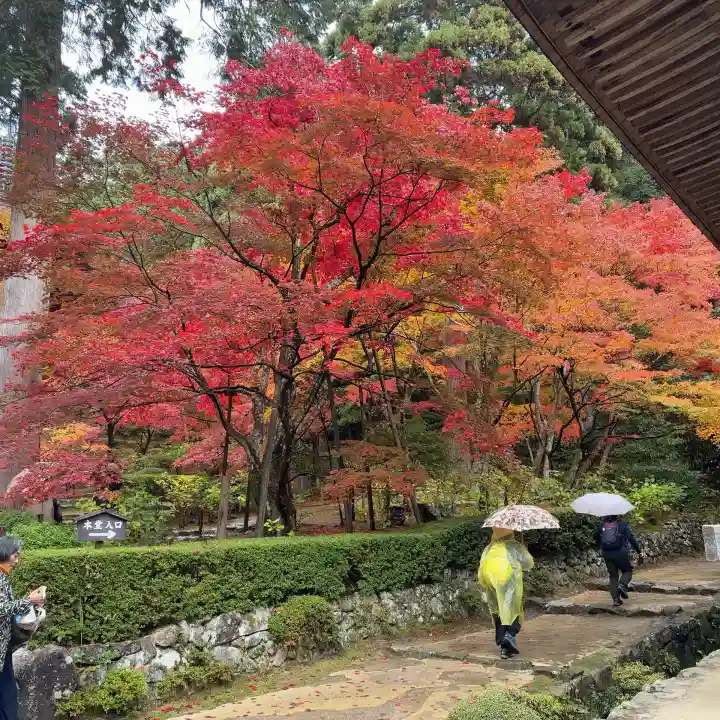 金剛輪寺(滋賀県)