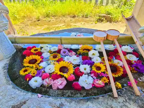 春日神社(福岡県)