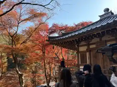 愛宕念仏寺(京都府)