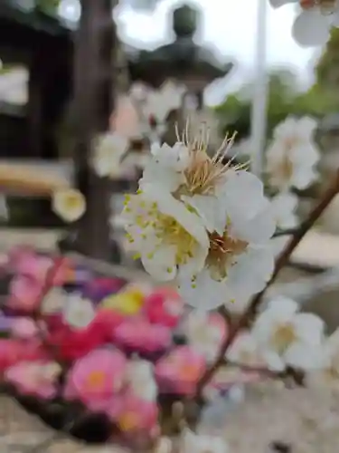 神館神社の自然
