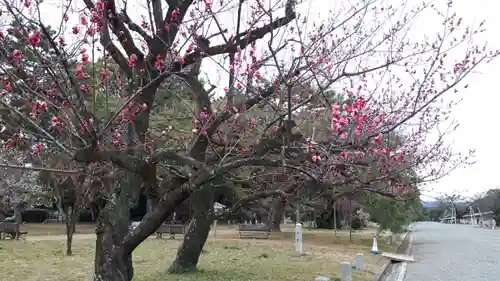 白雲神社(京都府)
