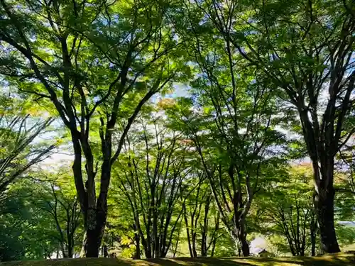 土津神社｜こどもと出世の神さまの景色