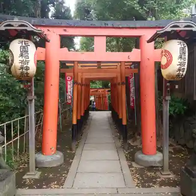 花園稲荷神社の鳥居