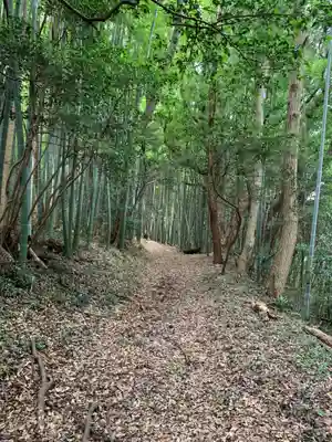 三社神社の自然