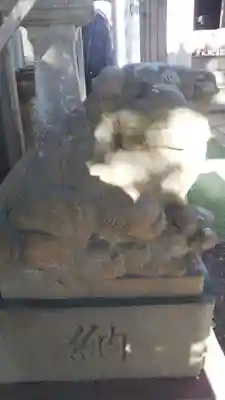 高津比咩神社の狛犬