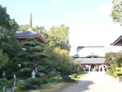 温泉山 安楽寺(四国霊場第六番札所)の建物その他