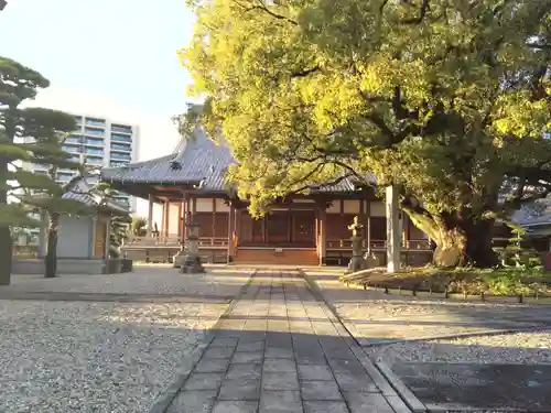 専光寺(愛知県)