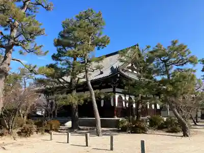百萬遍知恩寺(京都府)