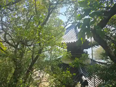 海禅院(和歌山県)