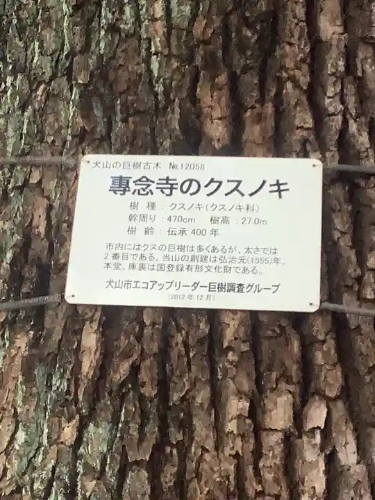 専念寺(愛知県)