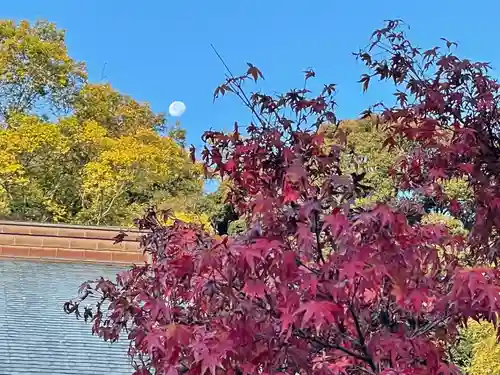 伊勢の国 四天王寺の自然