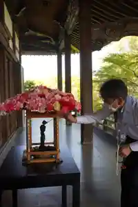 普元寺(愛知県)(2024年04月07日(日) 19時56分51秒投稿)