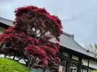 国分寺(千葉県)