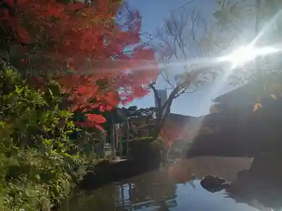 四天王寺(大阪府)