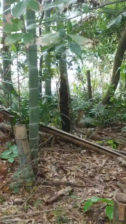 月讀神社の自然