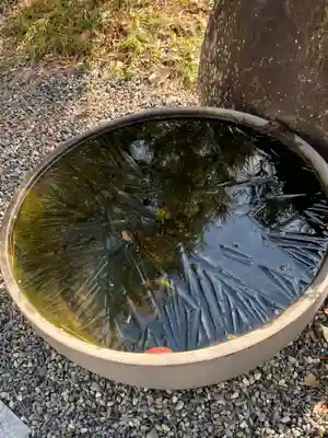 極楽寺(京都府)