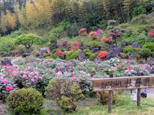 金蛇水神社(宮城県)