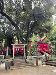 乃木神社の自然