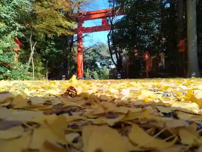冠稲荷神社(群馬県)