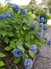 松江城山稲荷神社(島根県)