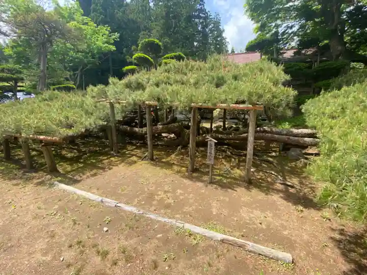 寺下観音の自然