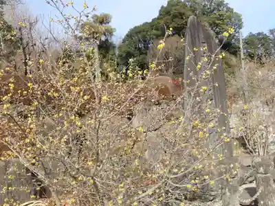 横浜　西方寺(神奈川県)