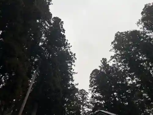 大宮温泉神社(栃木県)