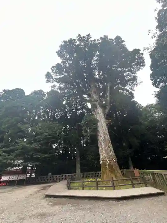 霧島神宮(鹿児島県)