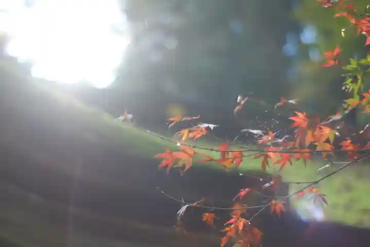 由岐神社(京都府)