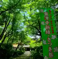 龍潭寺(静岡県)