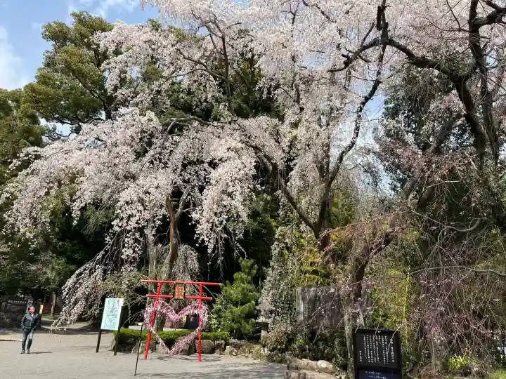 伊豆山神社(静岡県)