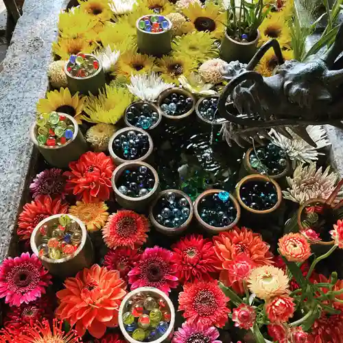 札幌諏訪神社の手水舎