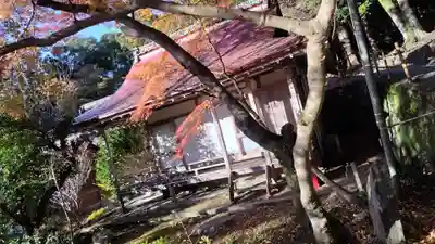 出雲大神宮のその他建物