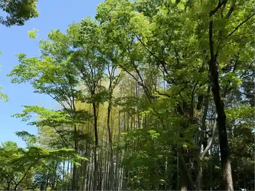 武蔵一宮氷川神社(埼玉県)