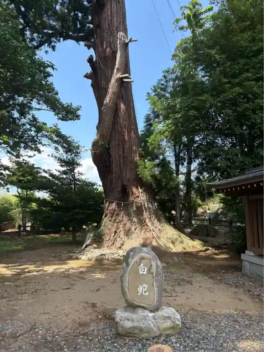 八幡宮(茨城県)