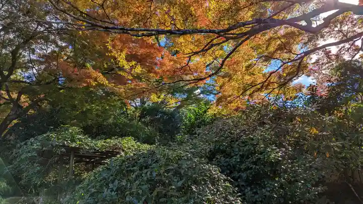 実光院(京都府)