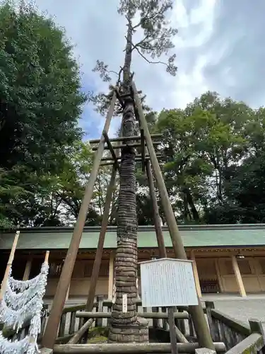 荻窪八幡神社の自然