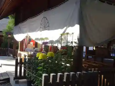 阿佐ヶ谷神明宮の本殿・本堂