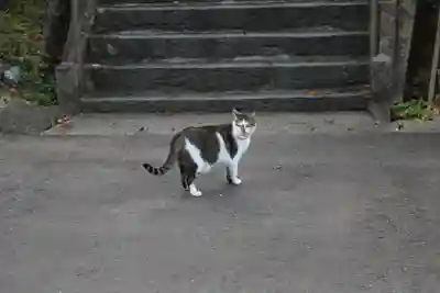 大慈寺(宮城県)