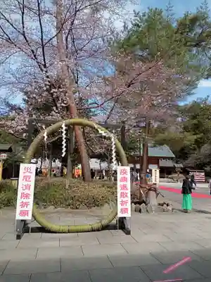 櫻木神社(千葉県)