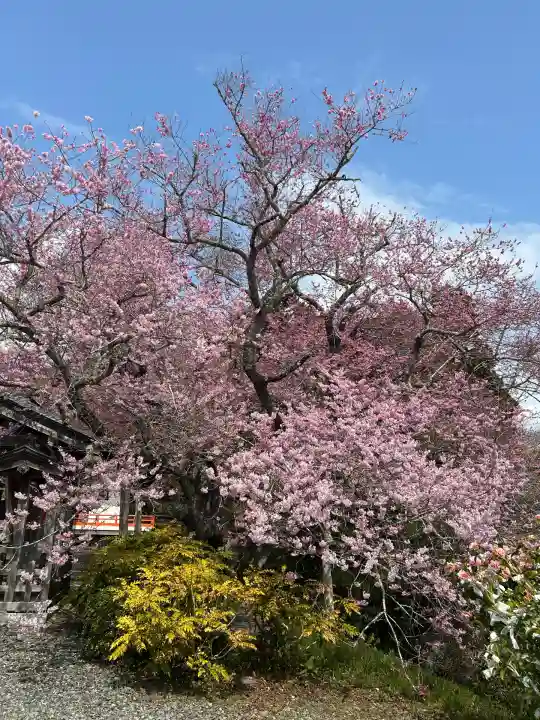 古谷館八幡神社(宮城県)