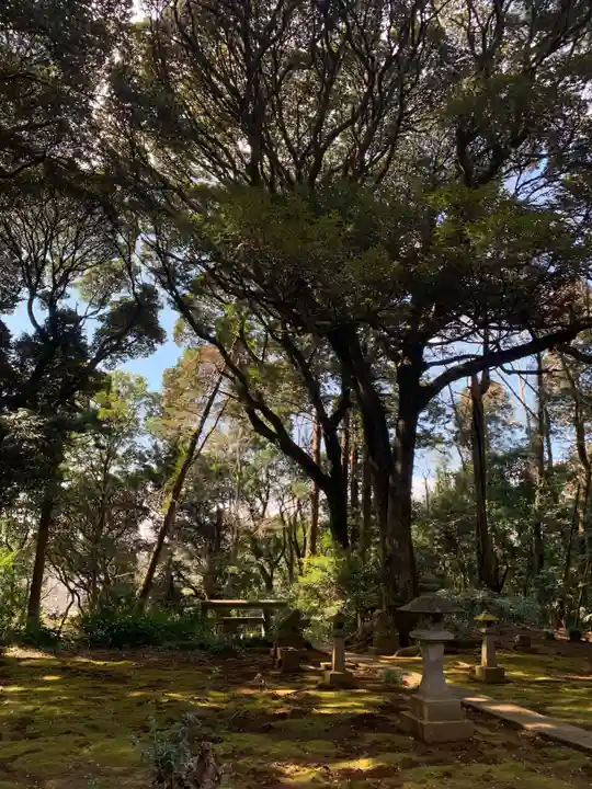 若宮神社(千葉県)