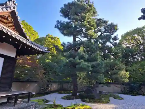 廬山寺（廬山天台講寺）(京都府)